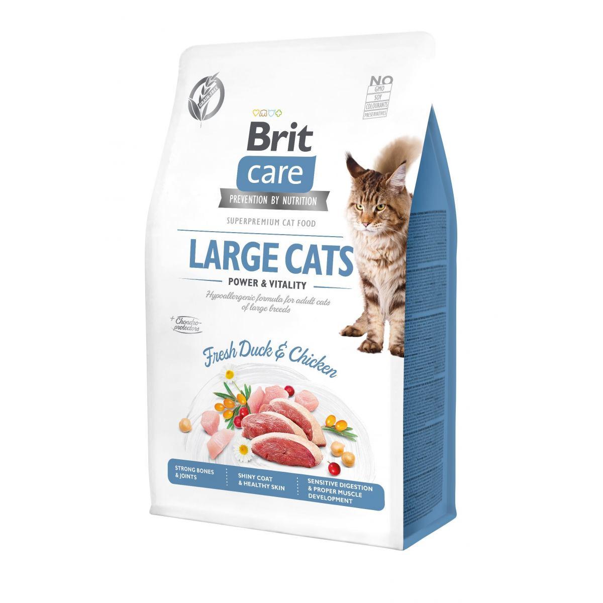 Сухий корм для котів Brit Care Cat Large cats Power&Vitality качка та курка 400 г (171311/0921) Сухий корм для котів Brit Care Cat Large cats Power&Vitality качка та курка 400 г (171311/0921)
