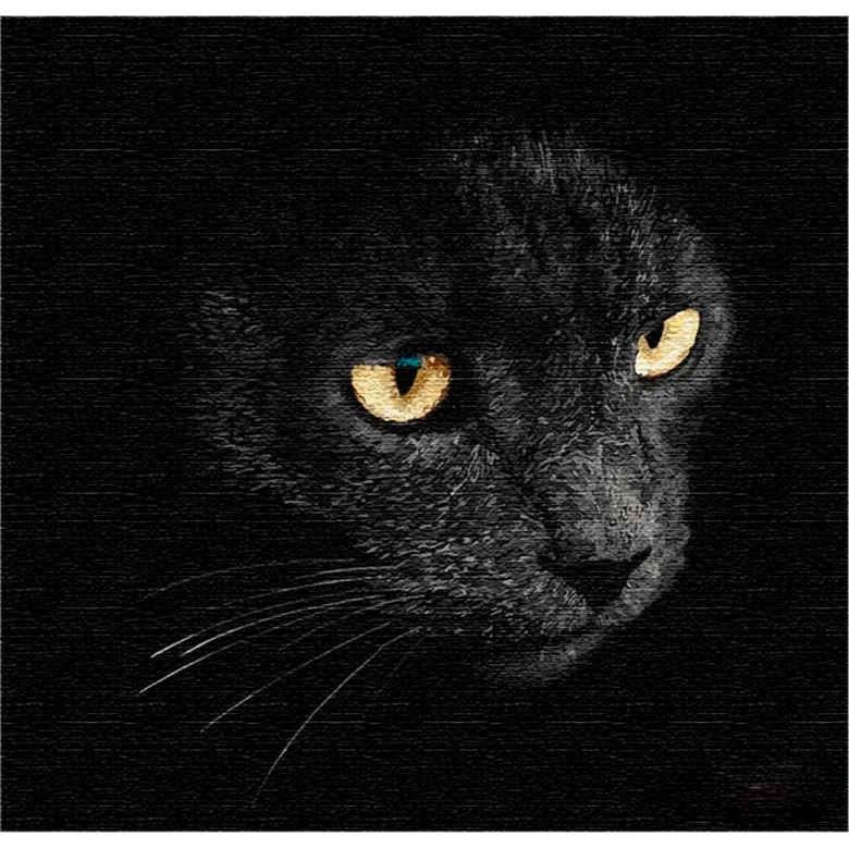 Картина за номерами Ідейка КН4204 Погляд хижака 40х40 см (L058498)