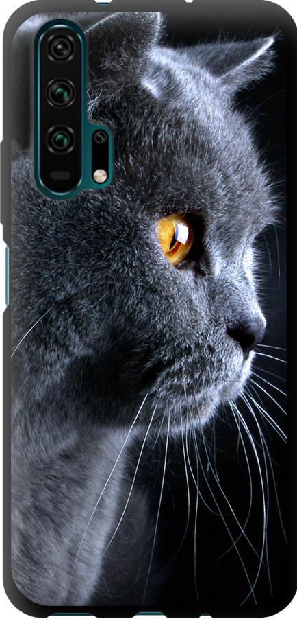 Чехол на Huawei Honor 20 Pro Красивый кот (3038b-1702-42517)