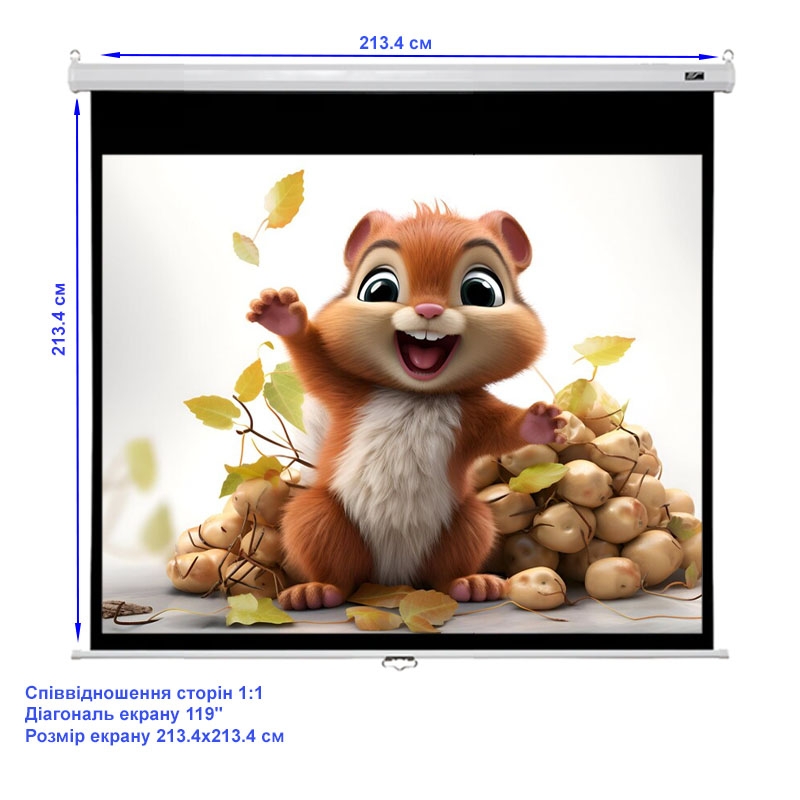 Екран проекційний Elite Screens M119XWS1 настінний ручний 119" 213,4x213,4 см/1:1 (23421907) - фото 4