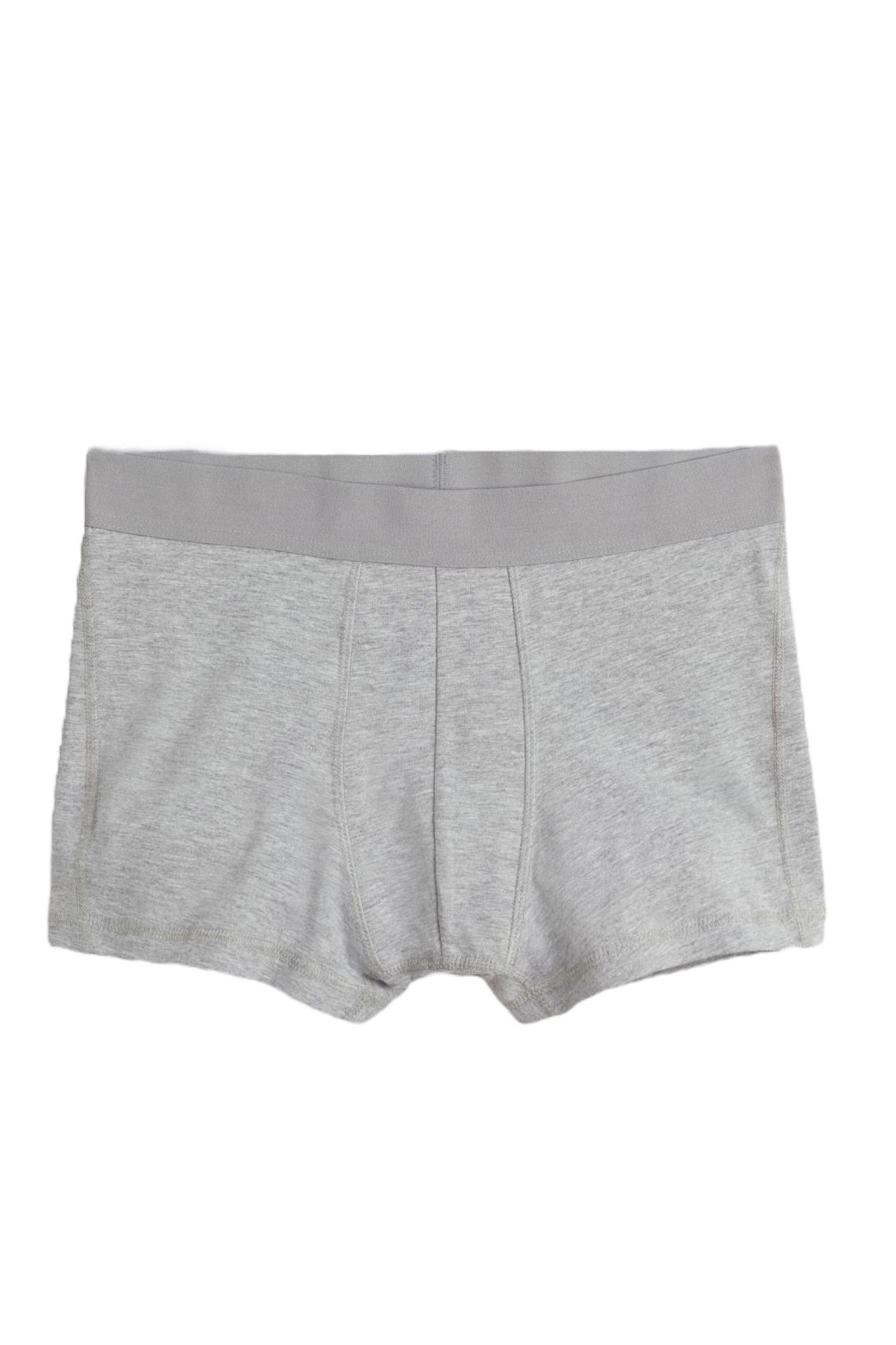 Трусы L Светло-серый (10702687wer)