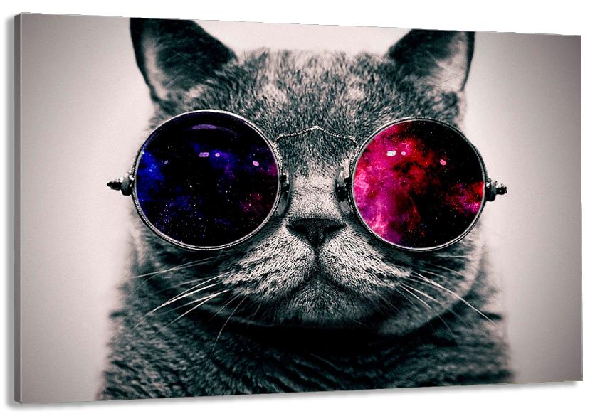 Картина на холсте в гостиную/спальню Кот в глазках 90х180 см (MLP_297)