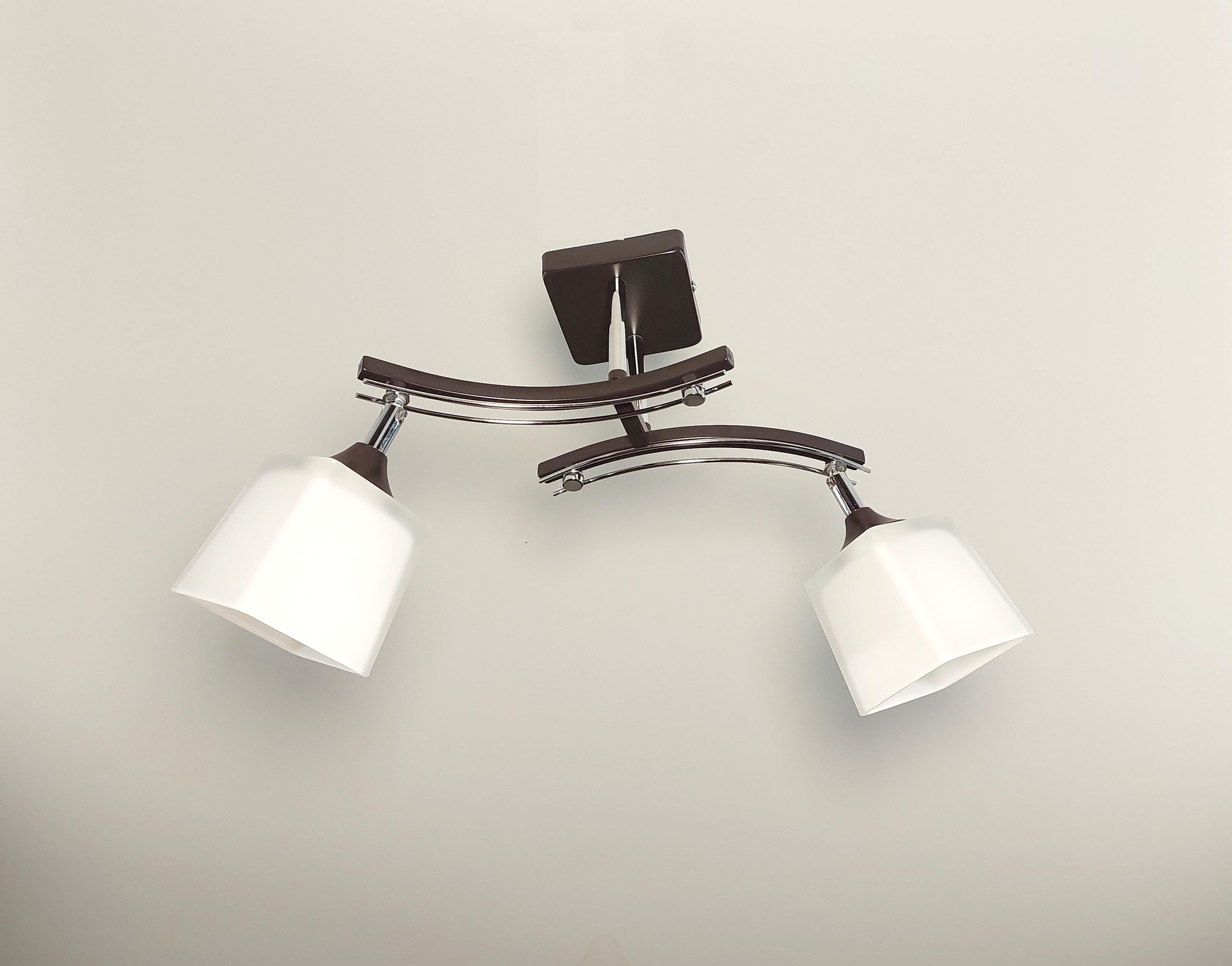 Люстра потолочная на 2 поворотных плафона Черный хром (1435/2)