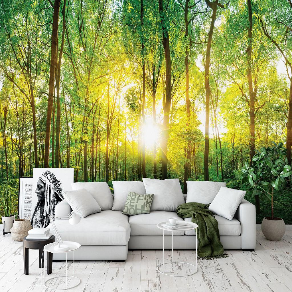 Фотошпалери флізелінові 3D у вигляді дерева Природа Весняний ліс у променях сонця з клеєм 350x250 см (13461VX7) - фото 3 Фотошпалери флізелінові 3D у вигляді дерева Природа Весняний ліс у променях сонця з клеєм 350x250 см (13461VX7) - фото 3