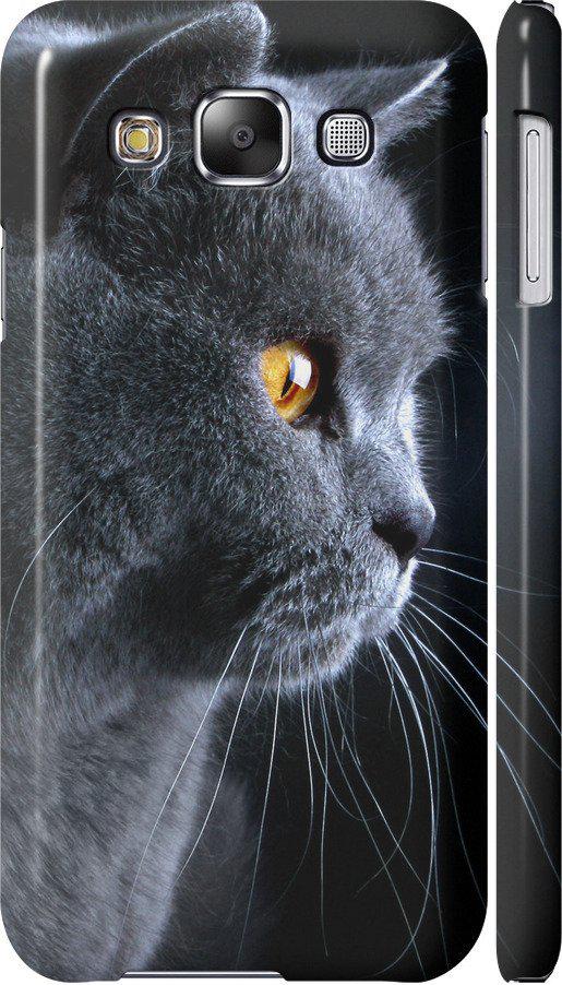 Чехол на Samsung Galaxy E5 E500H Красивый кот (3038m-82-42517)