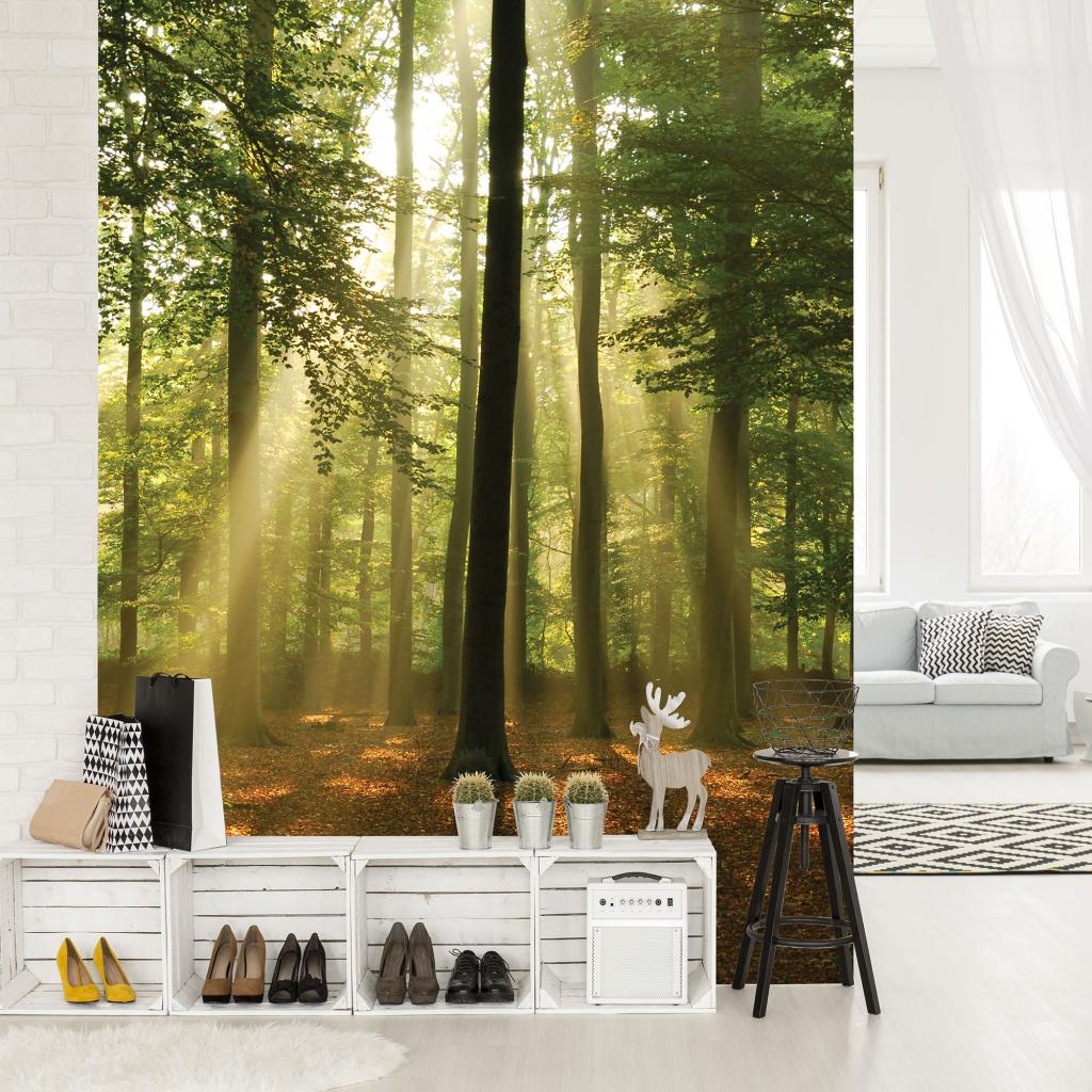 Фотообои флизелиновые 3D природа, лес 206х275 см Consalnet Высокие деревья (10331VEA)