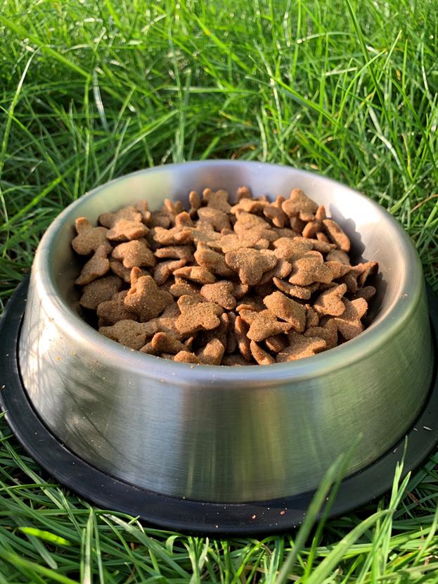 Корм сухой для собак всех пород Пан Пес Стандарт с курицей 10 кг (4820111140244) - фото 2 Корм сухой для собак всех пород Пан Пес Стандарт с курицей 10 кг (4820111140244) - фото 2