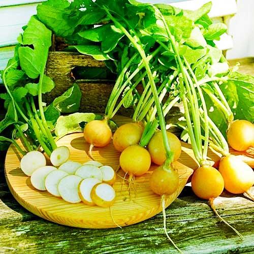 Семена Редис Florium Злата (9108)