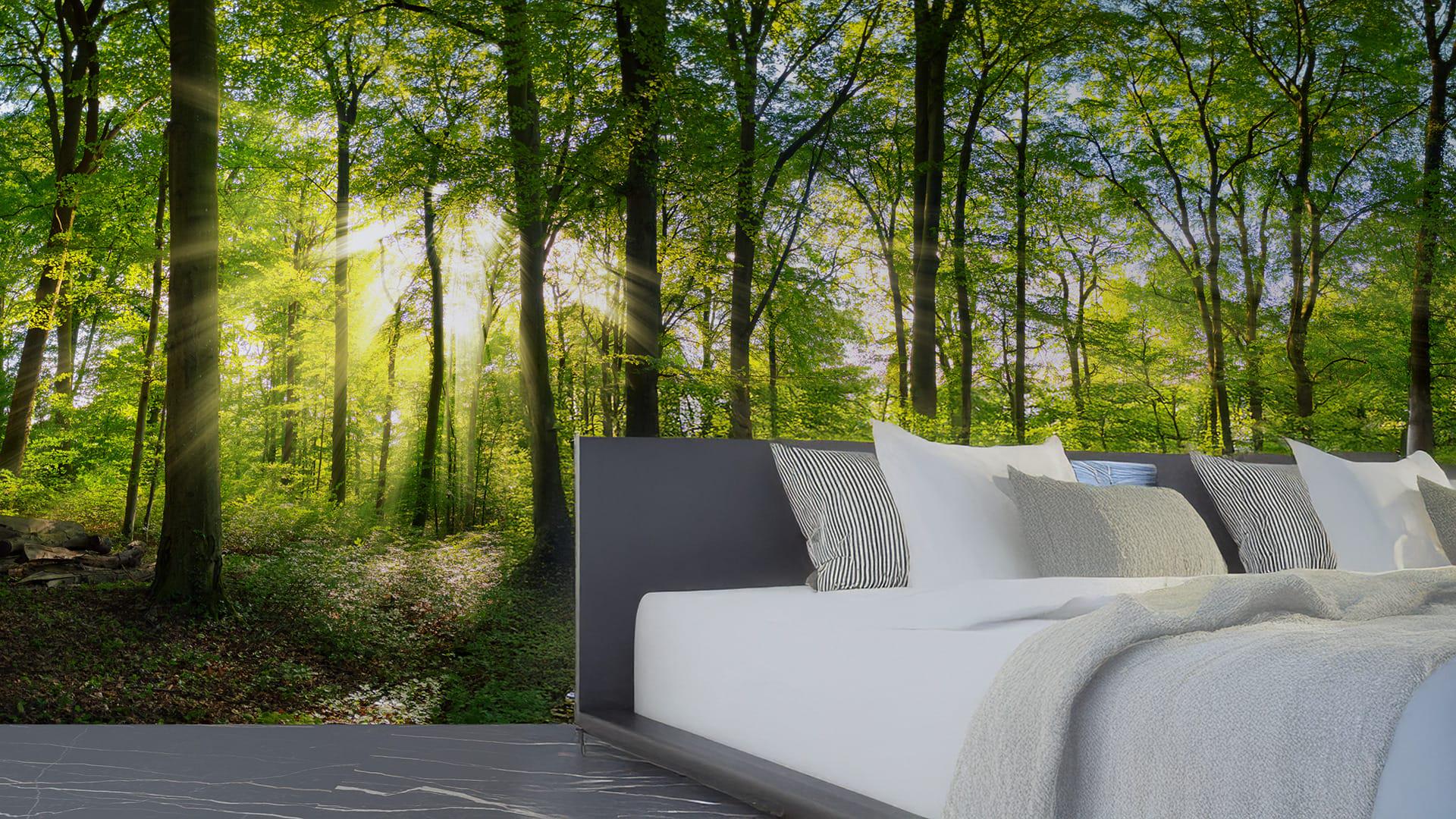 Фотошпалери флізелінові Styleo Print-walls Теплі проміння і лісі 0272 350х270 см (Pw-0272/3)