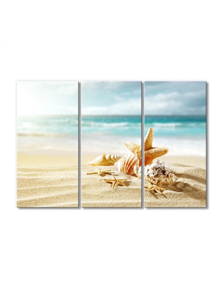 Картина модульная Песок ракушки звездочки 3 модуля 90x135 см