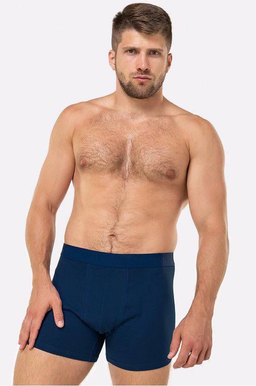 Трусы-боксеры мужские BAYKAR L р. 48-50 Синий (1110-04)