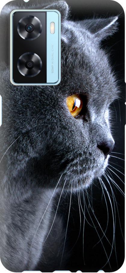 Чехол на Oppo A57s Красивый кот (3038u-2931-42517)