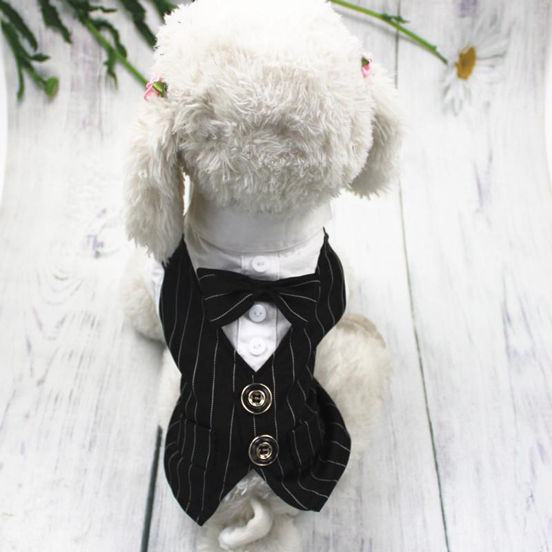 Костюм для собак Alfa Джентельмен S Черный/Белый (1М1780) - фото 4 Костюм для собак Alfa Джентельмен S Черный/Белый (1М1780) - фото 4