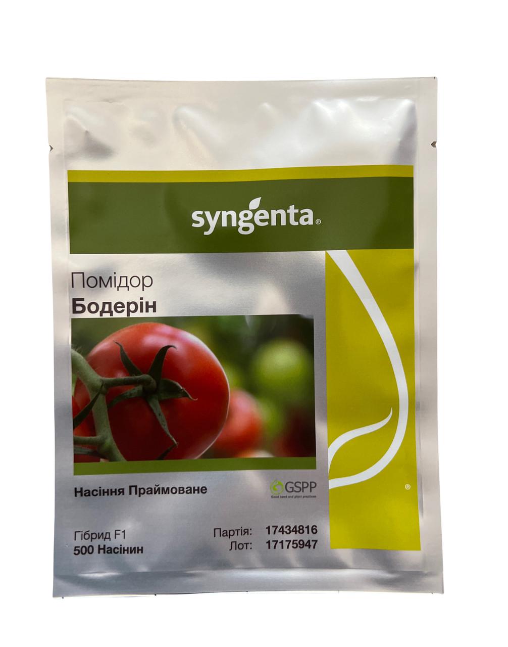 Семена Индетерминантный Томат Syngenta BODERIN F1 500 шт. (1785757915)