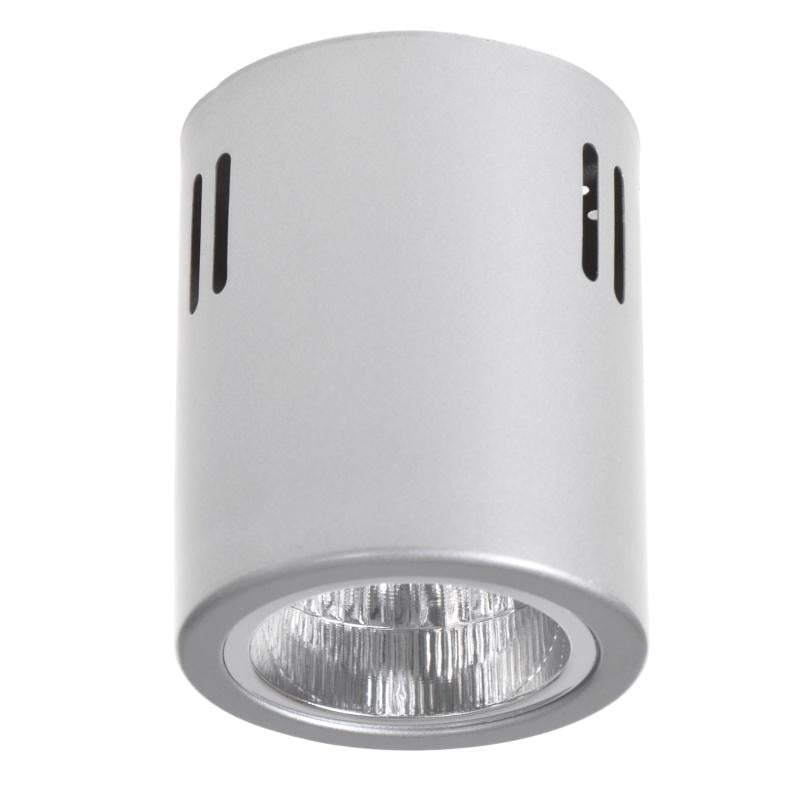 Подсветка тубус накладная Brille AL-70/1 GU10 SGY IP20