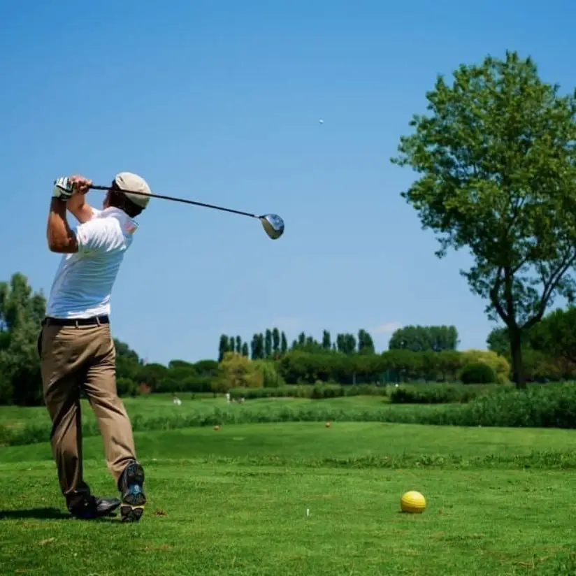 Семена газонной травы GrassNature Гольф Элитная 8 кг (24463283) - фото 2 Семена газонной травы GrassNature Гольф Элитная 8 кг (24463283) - фото 2