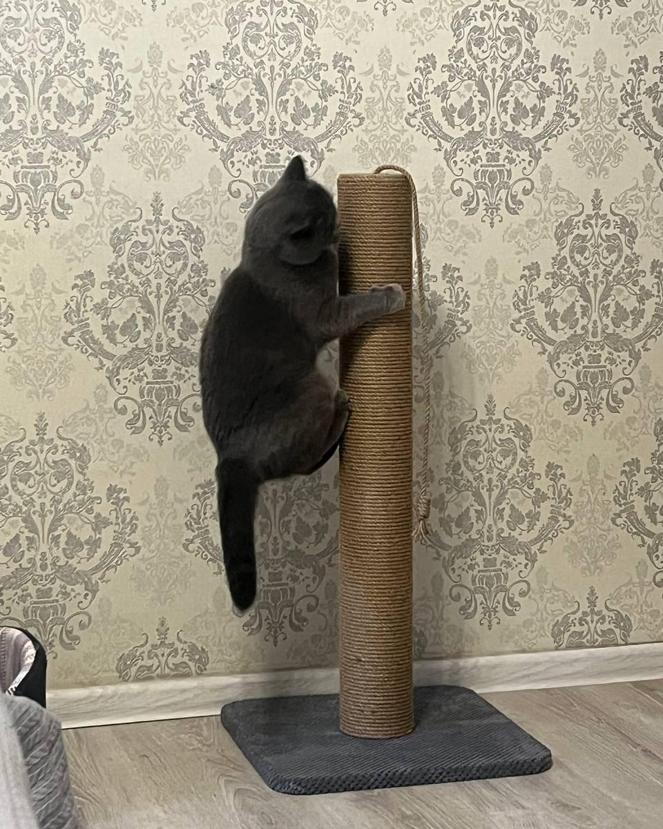 Когтеточка столбик на подставке джут 82х40х40 см Серый (21706964) - фото 3 Когтеточка столбик на подставке джут 82х40х40 см Серый (21706964) - фото 3