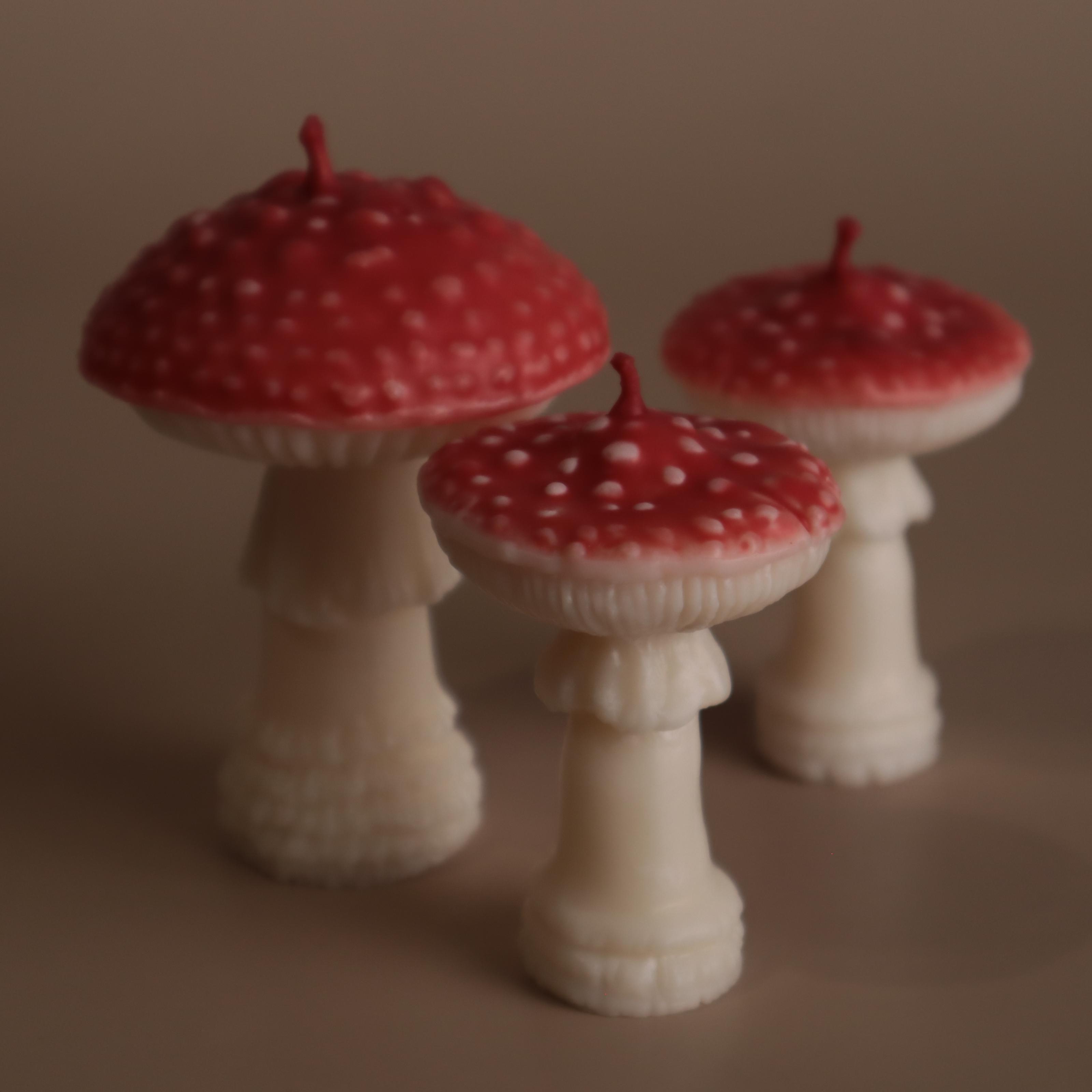 Подарунковий набір аромасвічок Wax Harmony Ваніль Мухомори (3000431)