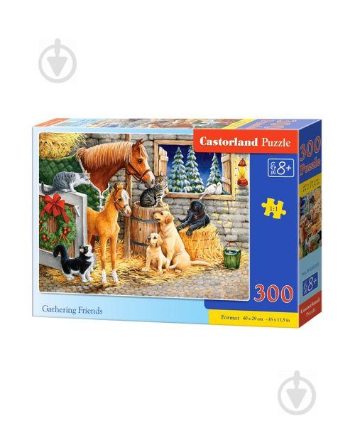 Пазлы Castorland Встреча друзей 300 элементов (В-030255)