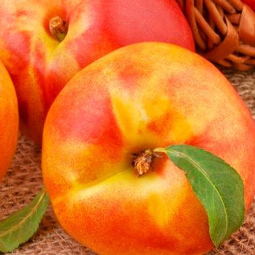 Сажанець Нектарин Бурштиновий лисий персик (40029)