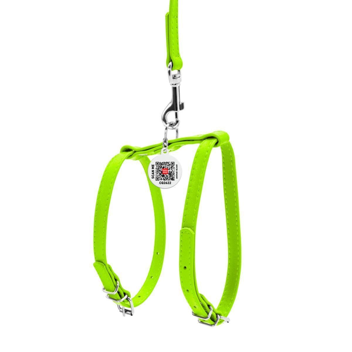 Шлея с поводком для собак Waudog Glamour с QR паспортом/кожаной 12 мм х 25-33 см х 35-43 см Салатовый (34005 Col)