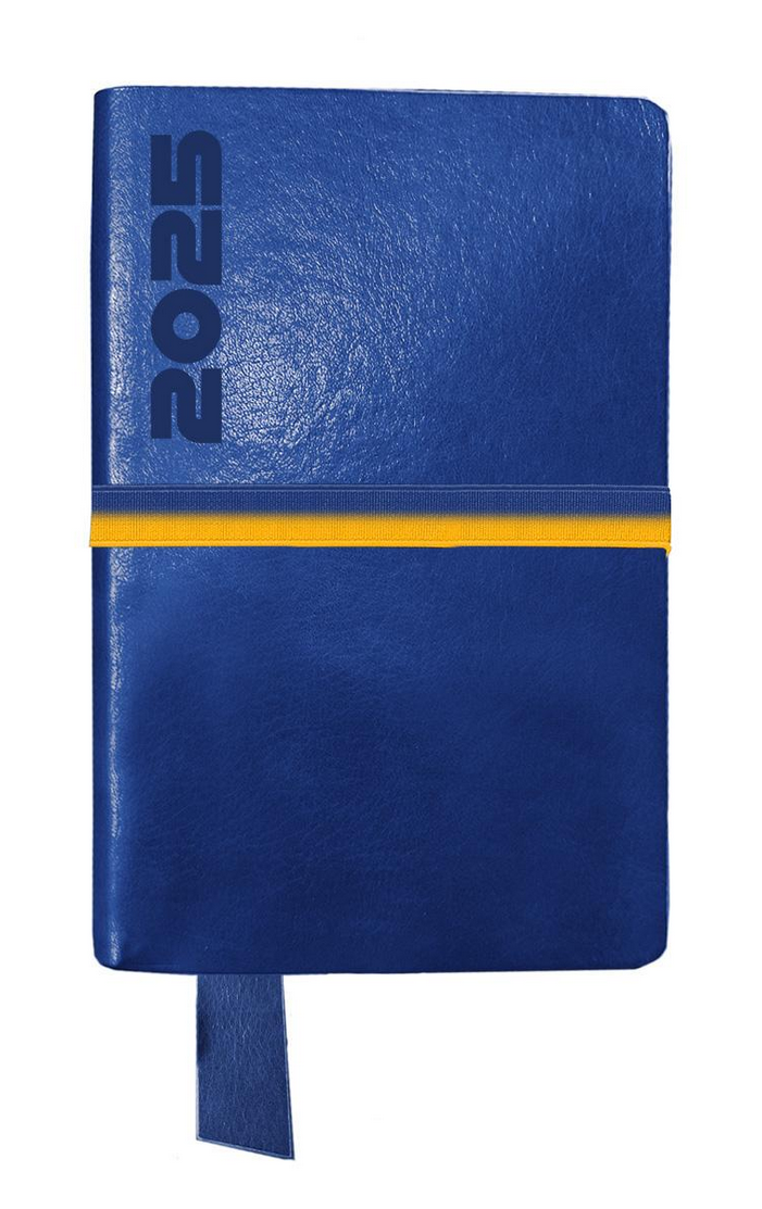 Ежедневник Leo Planner Identico датированный/2025 год 12х20 cм 352 стр. Синий (252512)