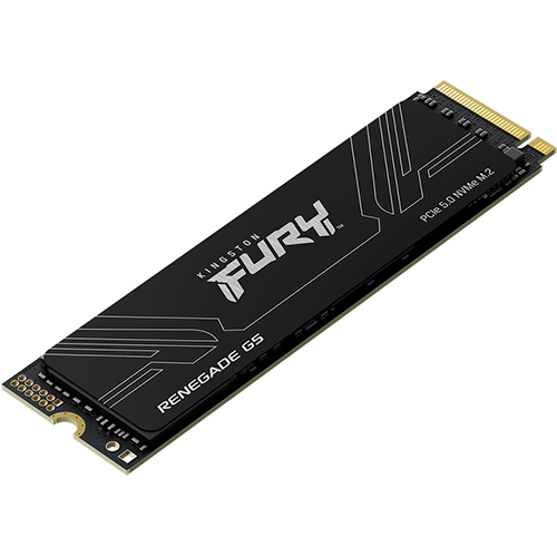 SSD диск Kingston Fury Renegade G5 M.2 PCIe 5.0 NVMe 1 Тб Black (SFYR2S/1T0)