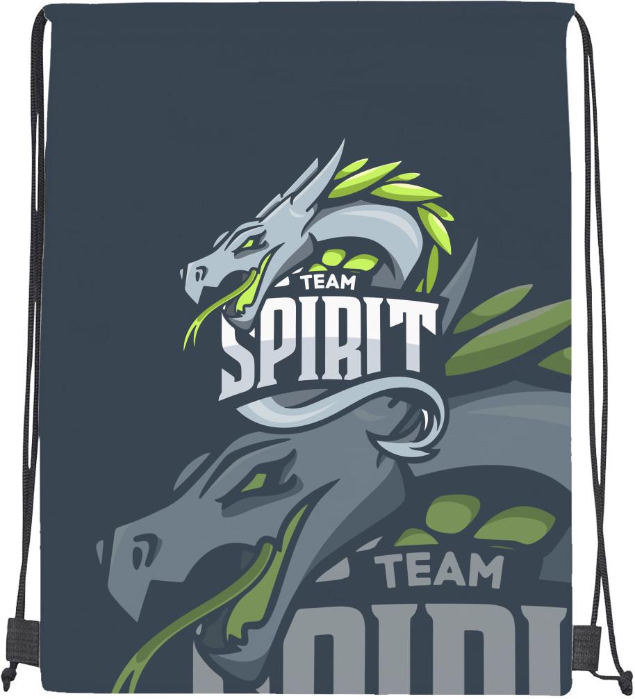 Мішок спортивний Team Spirit 2 (20299728) Мішок спортивний Team Spirit 2 (20299728)