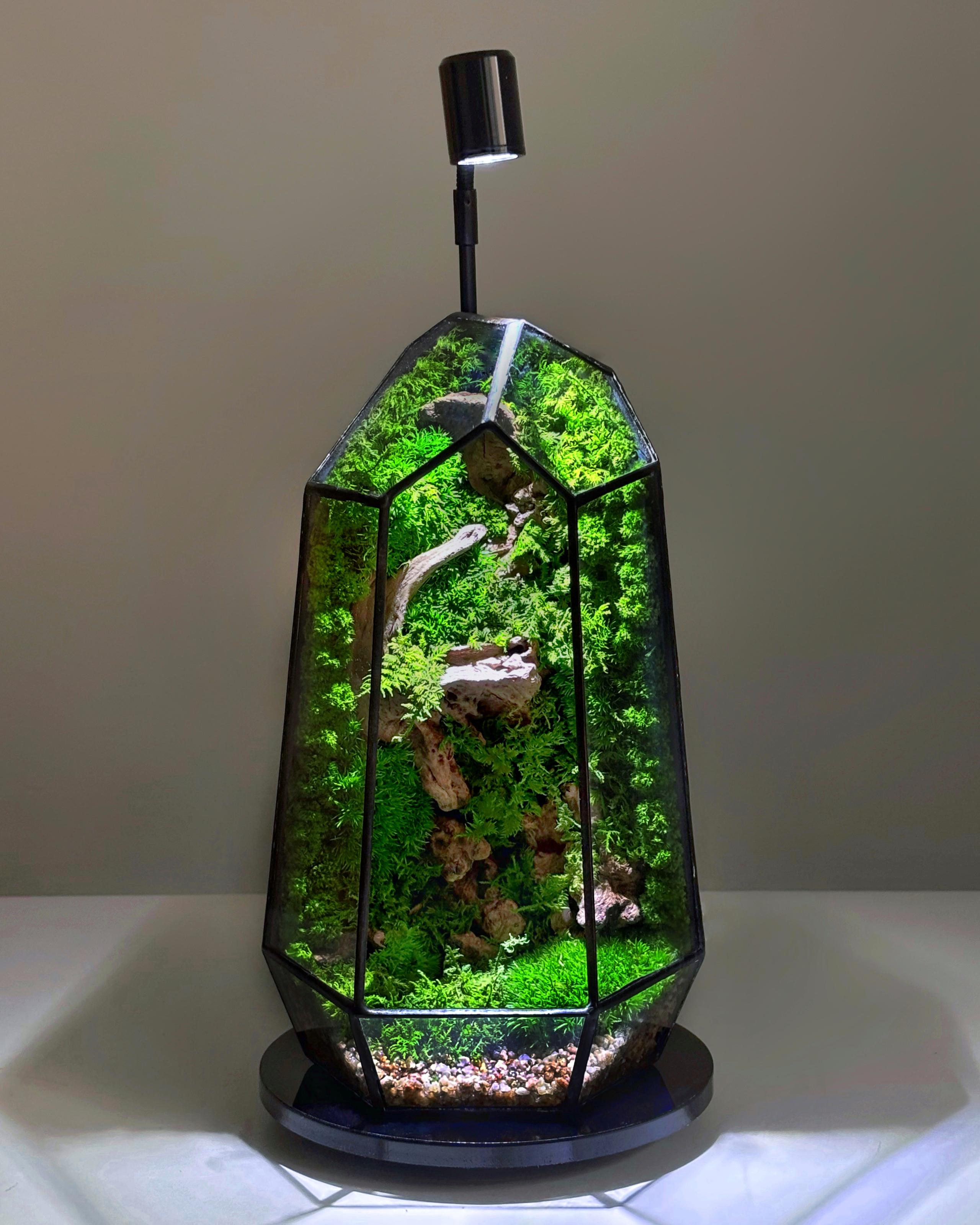 Мосариум Минимализм с лампой 25 см