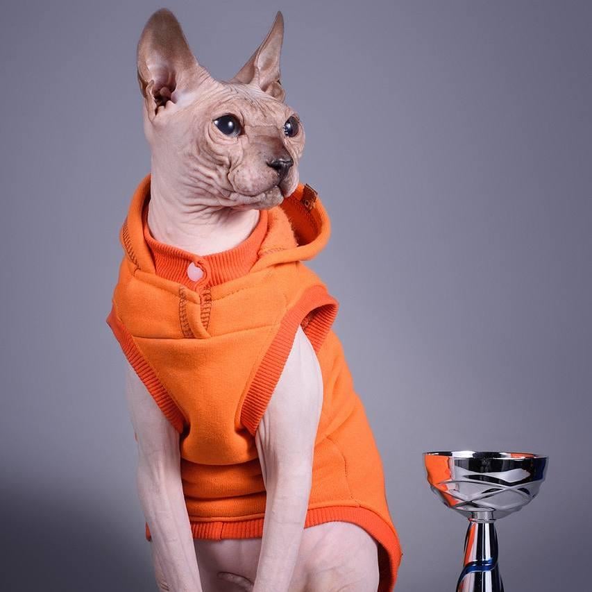 Майка спортивна для котів з капюшоном Style Pets Squash XL Orange (485XL) - фото 4