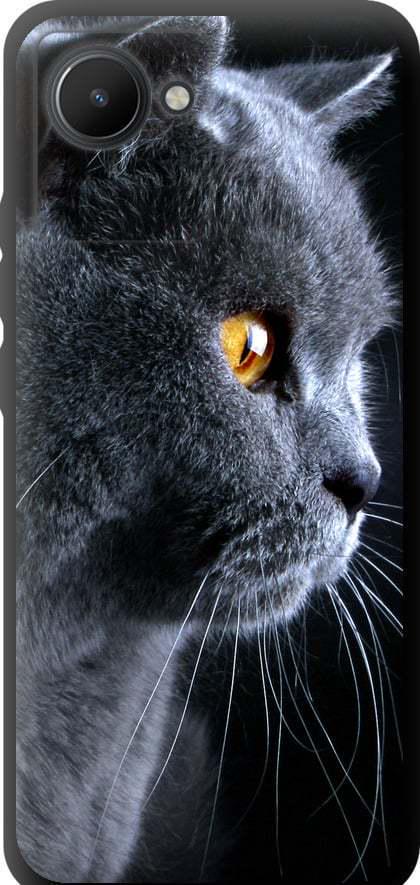 Чехол на Realme C30 Красивый кот (3038b-2700-42517) Чехол на Realme C30 Красивый кот (3038b-2700-42517)