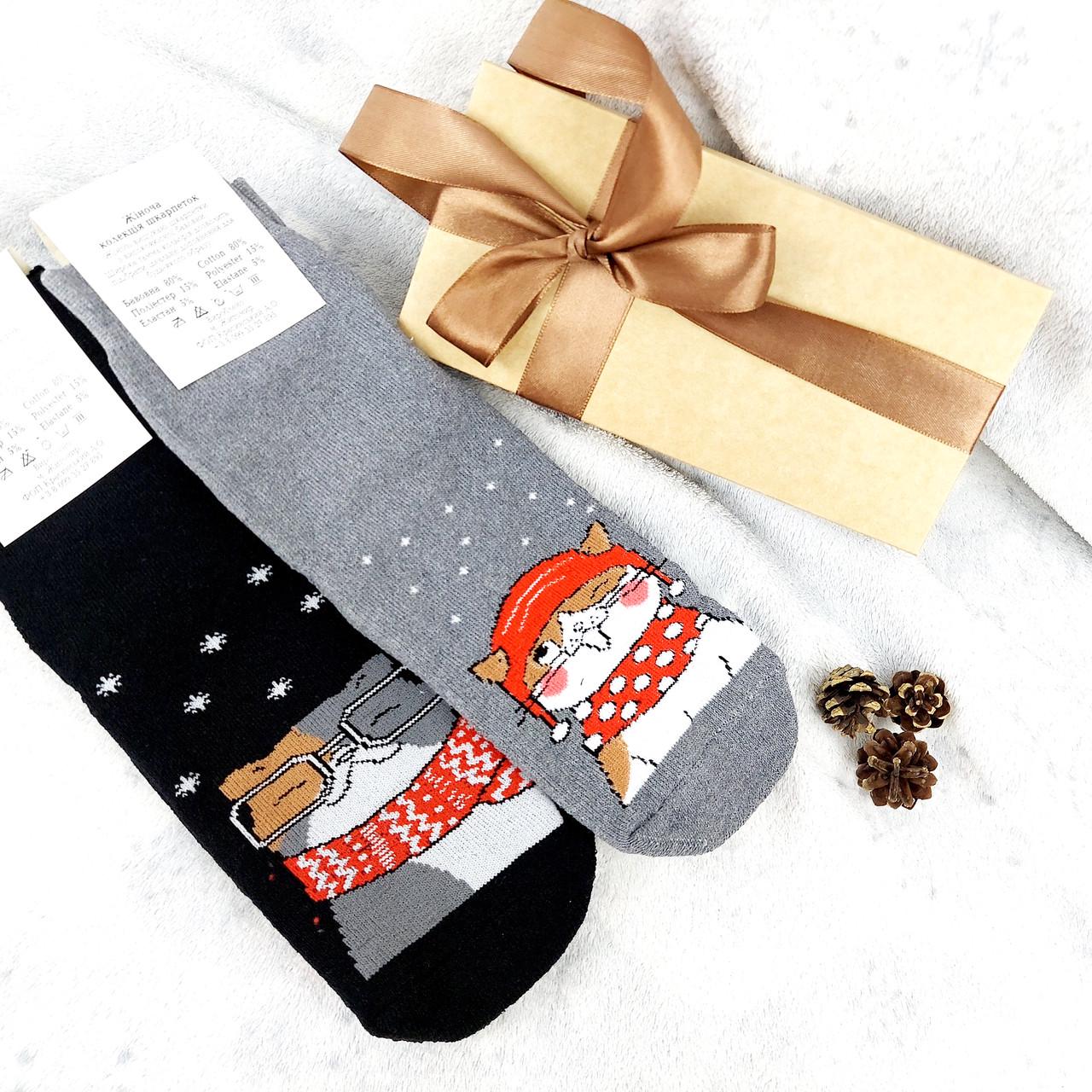 Махровые женские носки котята в новом году 36-40 р. (2027)