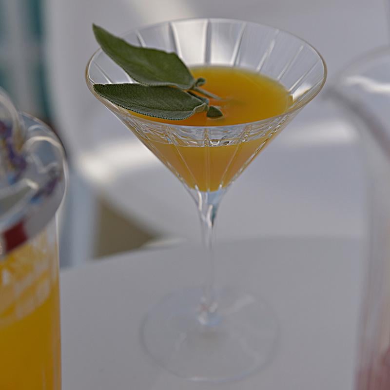 Набір келихів для мартіні Rogaska Avenue 2 шт. 170 мл (1110040520 - фото 2