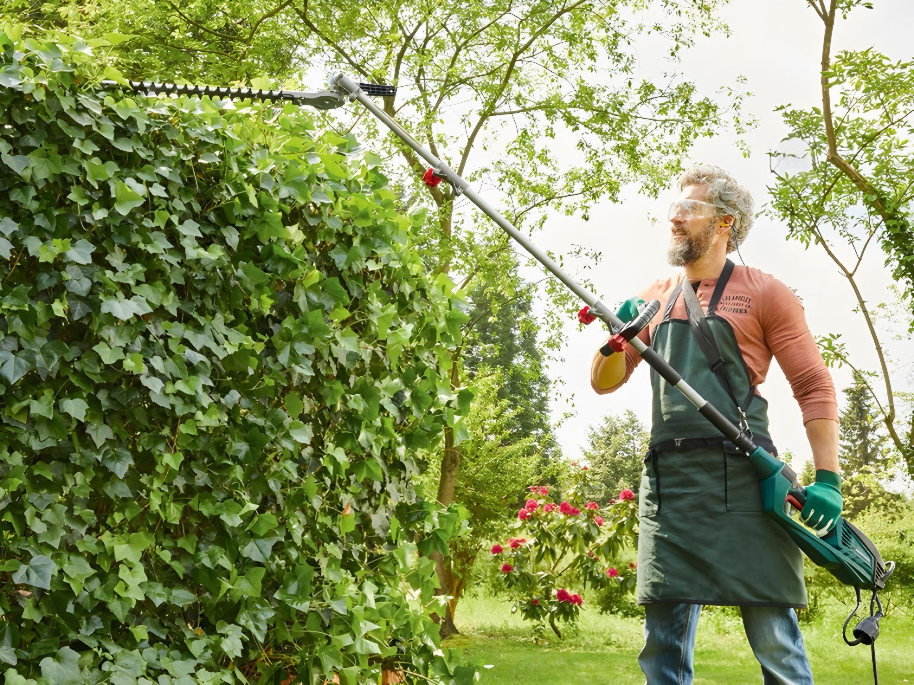 Кущоріз телескопічний PARKSIDE PHSL 900B4 - фото 11 Кущоріз телескопічний PARKSIDE PHSL 900B4 - фото 11