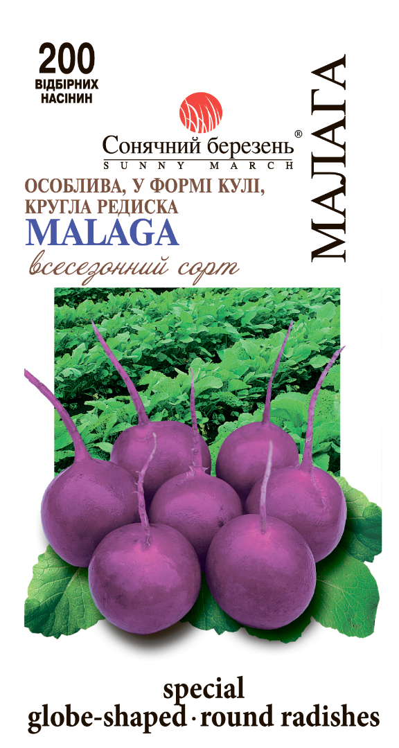 Насіння редьки Малага всесезонний (8538)