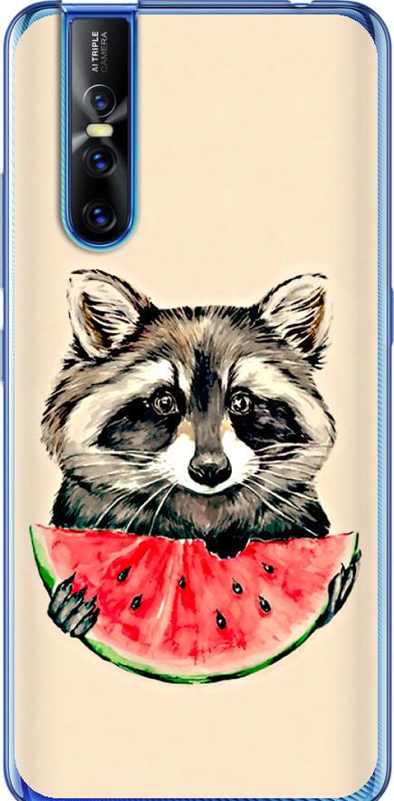 Чехол на Vivo V15 pro Енотик с арбузом (4605u-1763-42517)