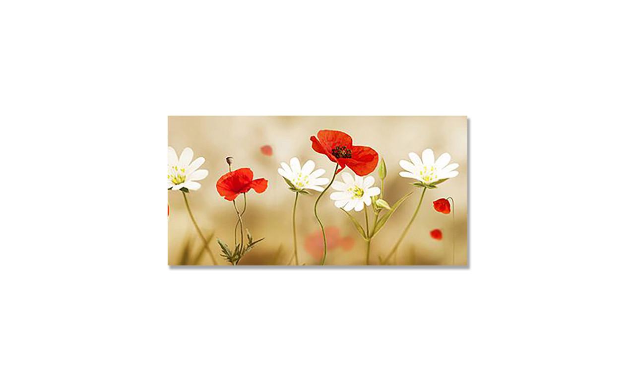 Наклейка виниловая на стол Zatarga Маки и Ромашки 600х1200 мм (1274514165)