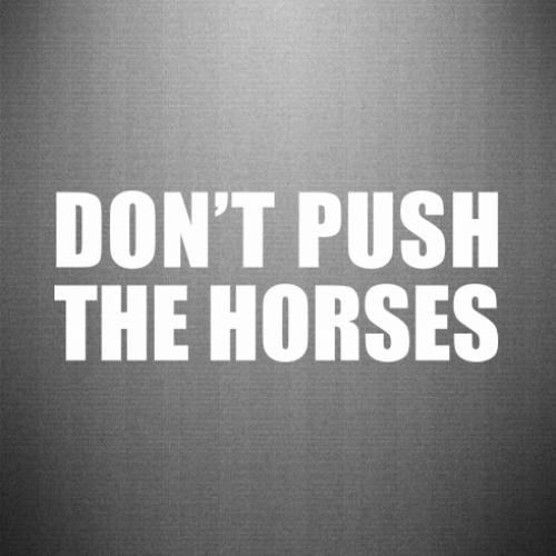 Наклейка Don’t push the horses 30x11,6 см (27767097)