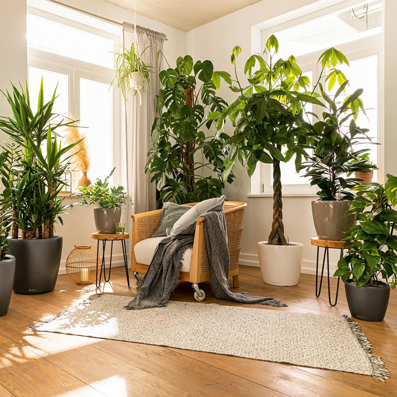 Вазон Lechuz Classico Premium LS 43 см Чорний (A-013805) - фото 2 Вазон Lechuz Classico Premium LS 43 см Чорний (A-013805) - фото 2