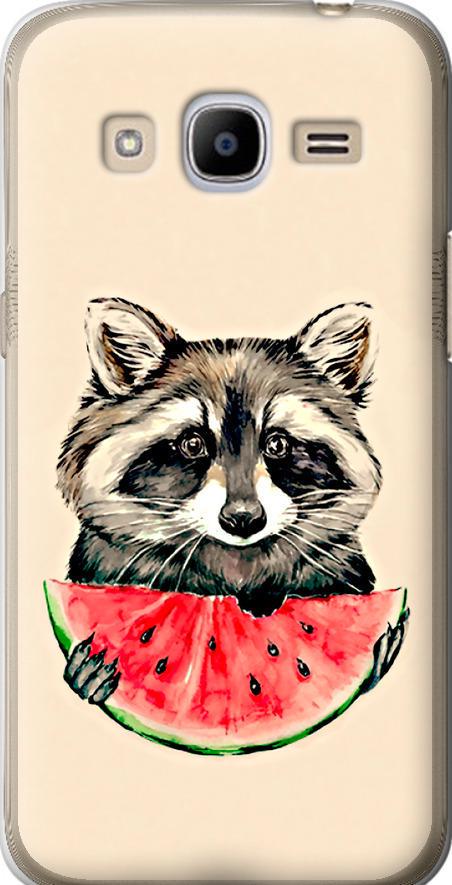 Чехол на Samsung Galaxy J2 (2016) J210 Енотик с арбузом (4605u-270-42517)
