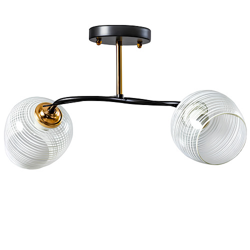 Люстра Svet с двумя стеклянными плафонами под лампы Е27 Белый (SW-507/2 FGD+BK)