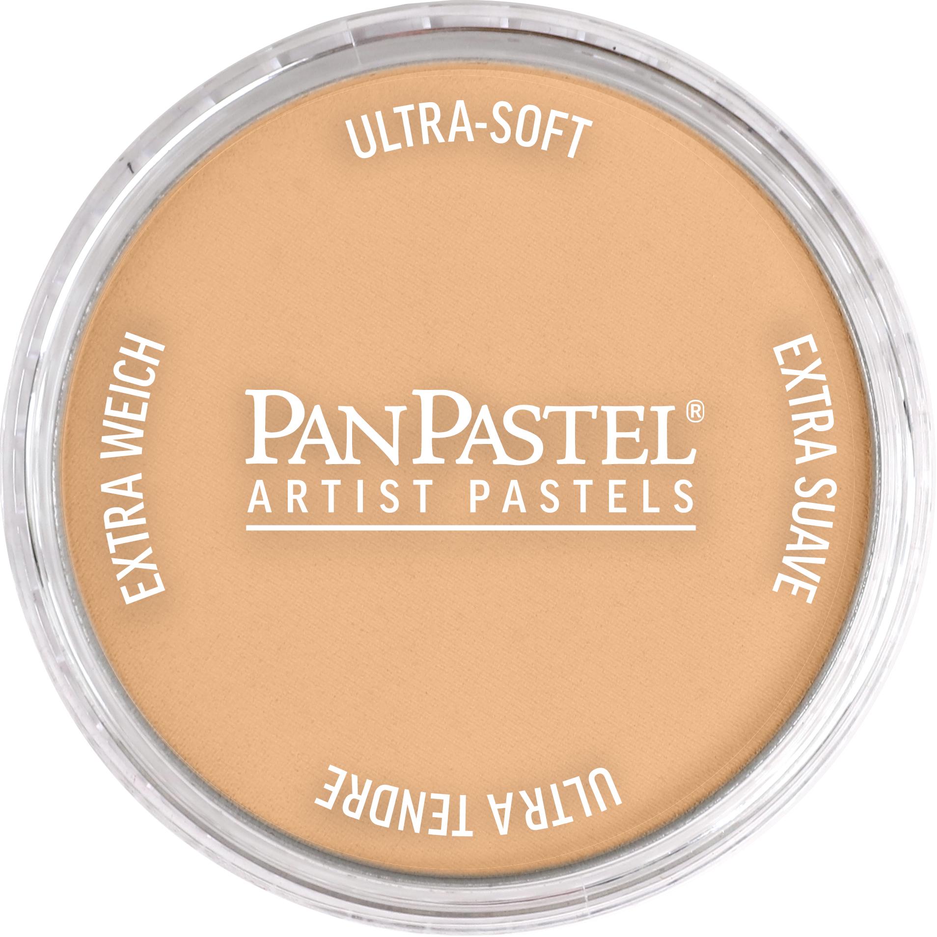 Пастель художня PanPastel 710.7 Raw Sienna Light 9 мл (28769549)