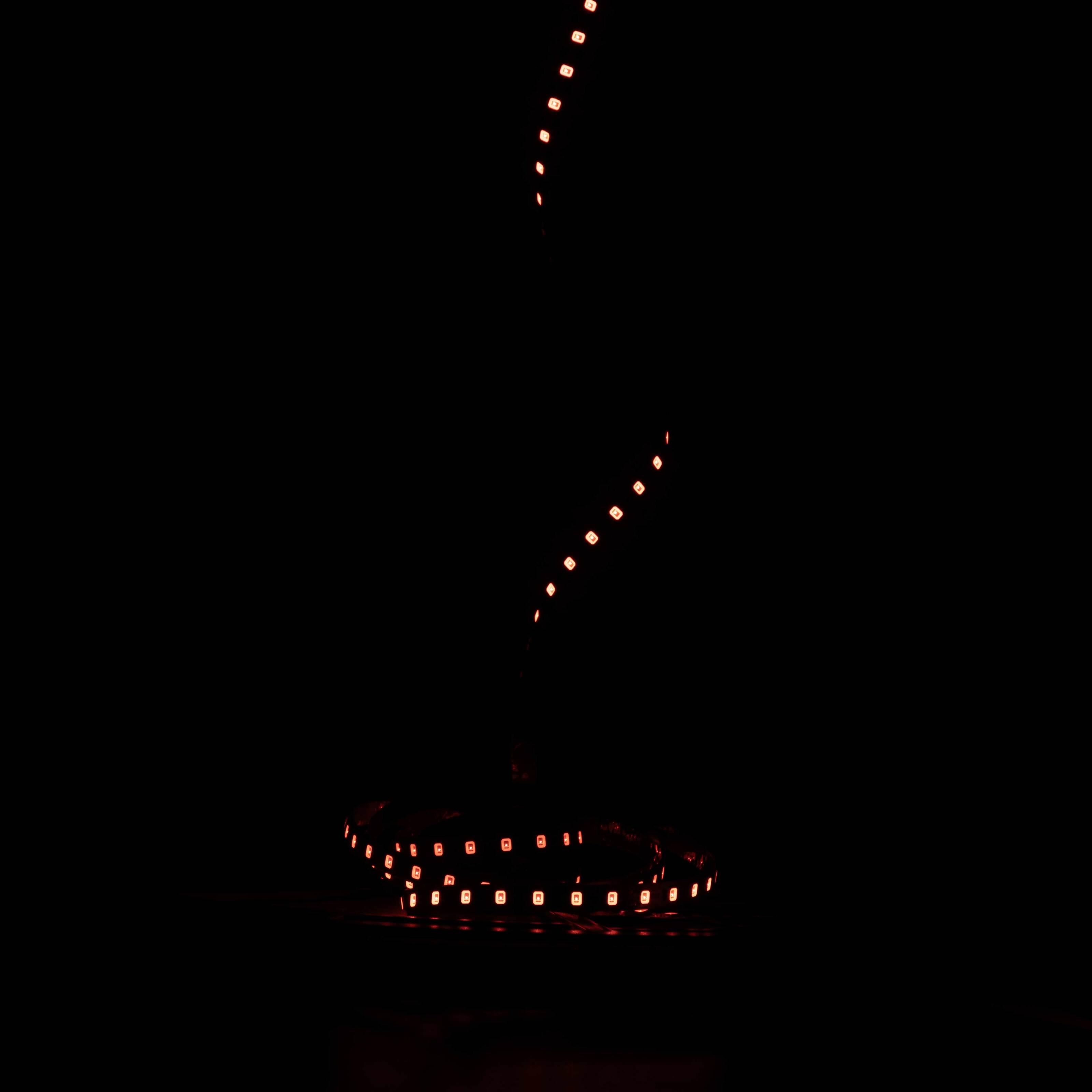 Світлодіодна стрічка Prolum IP20 2835/120 50M S-TYPE Series-S 12V 6 мм Червоний (28748738) - фото 2 Світлодіодна стрічка Prolum IP20 2835/120 50M S-TYPE Series-S 12V 6 мм Червоний (28748738) - фото 2