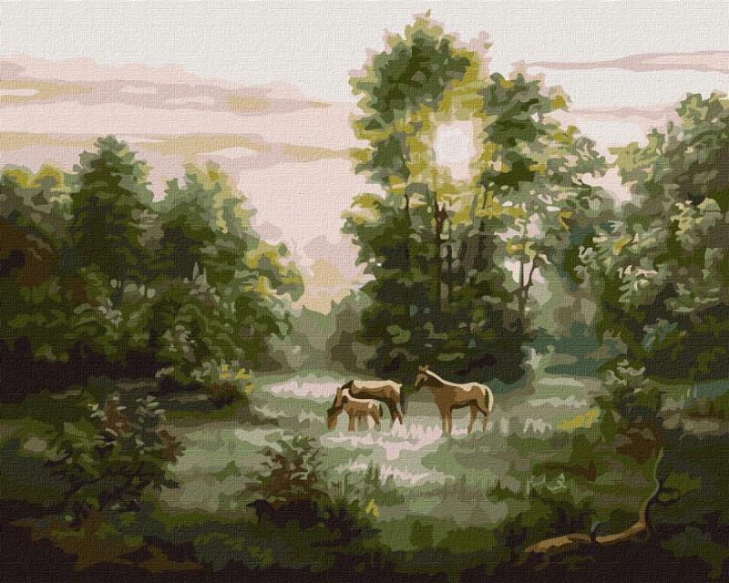 Картина по номерам Идейка Рассвет 40x50 см (KHO4362)