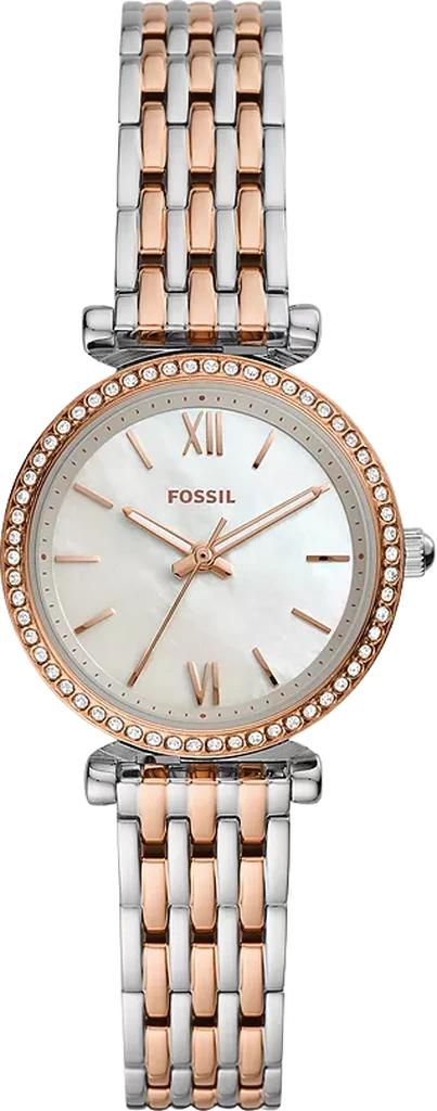 Наручные часы женские Fossil Carlie Mini ES4649 (3149845127)