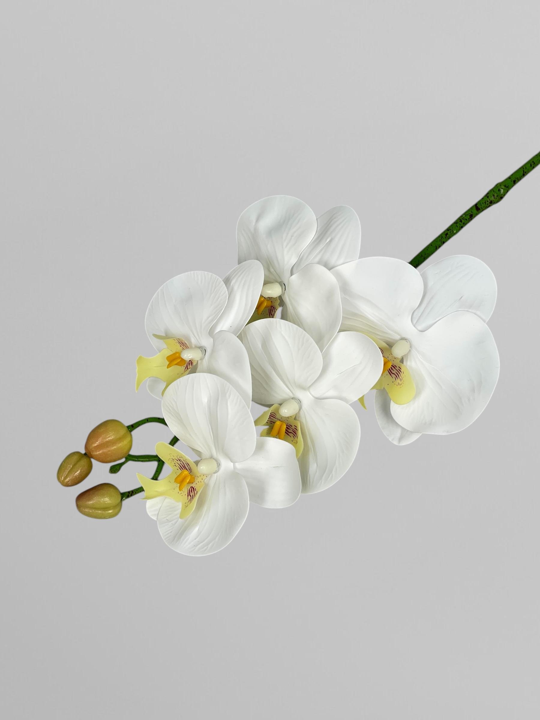 Искусственная орхидея Фаленопсис 5 соцветий 65 см Белый (К01077)