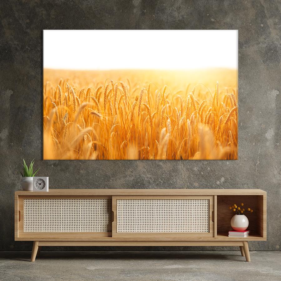 Настенний декор Пшеничное поле под белым небом 80x54 см (1950-1)