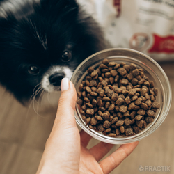 Корм для собак малих порід Practik Daily з Свіжою Телятиною 30 кг (30MBD496) - фото 7 Корм для собак малих порід Practik Daily з Свіжою Телятиною 30 кг (30MBD496) - фото 7