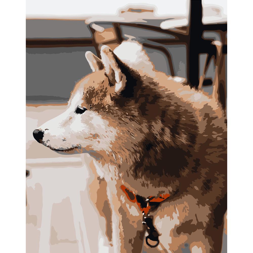 Картина по номерам Strateg Премиум Взгляд хаски 40х50 см (DY120)