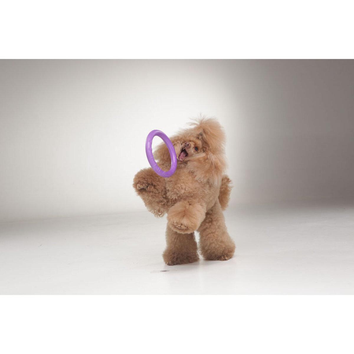 Тренувальний снаряд для собак PULLER Мini D 18 см (25881230) - фото 8 Тренувальний снаряд для собак PULLER Мini D 18 см (25881230) - фото 8